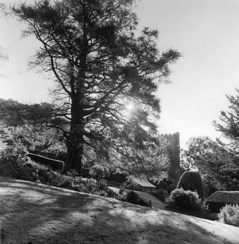  - Gardens at The Old Rectory, Netherbury