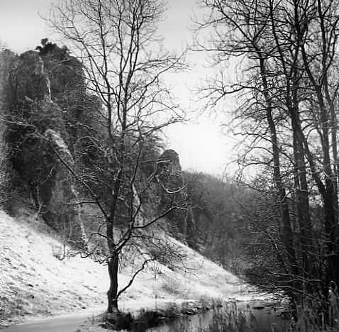 Dovedale, Derbyshire in snow - Trees in Winter