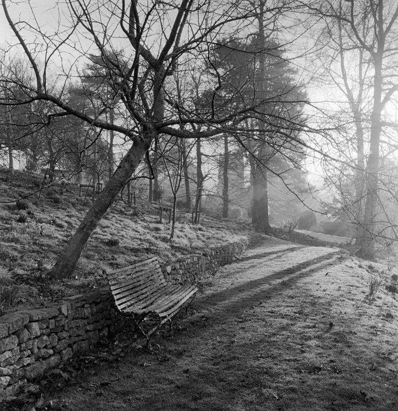  - Gardens at The Old Rectory, Netherbury