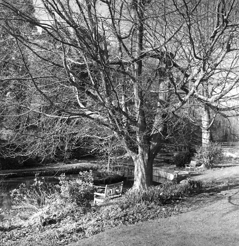  - Gardens at The Old Rectory, Netherbury