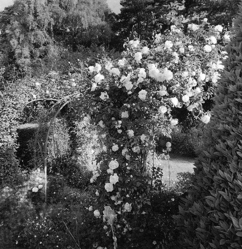  - Gardens at The Old Rectory, Netherbury