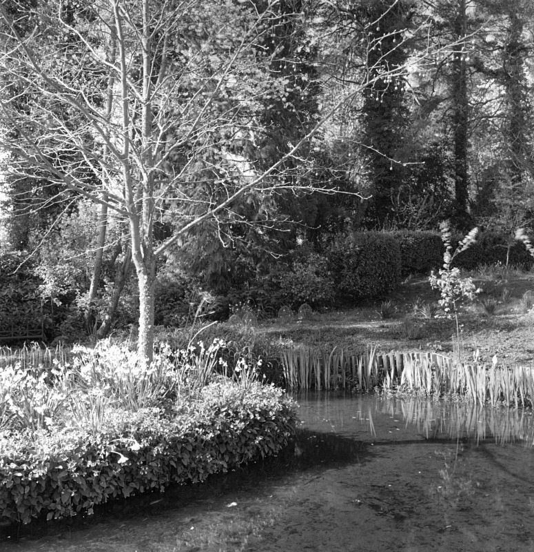  - Gardens at The Old Rectory, Netherbury