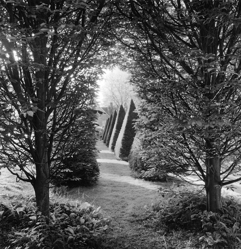  - Gardens at The Old Rectory, Netherbury