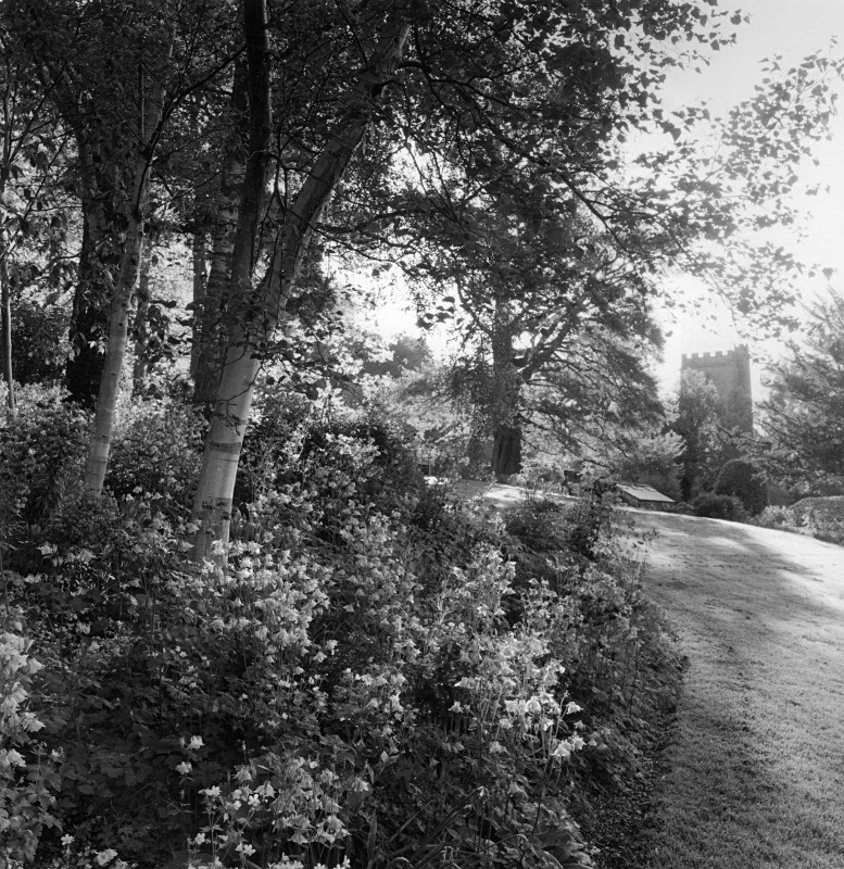  - Gardens at The Old Rectory, Netherbury