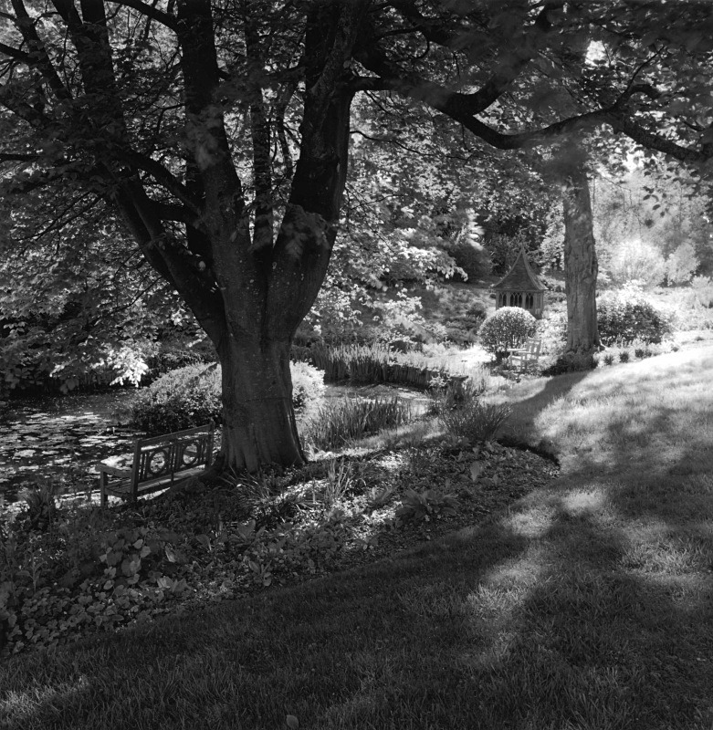  - Gardens at The Old Rectory, Netherbury