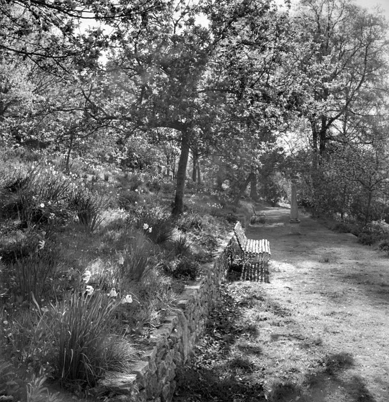  - Gardens at The Old Rectory, Netherbury