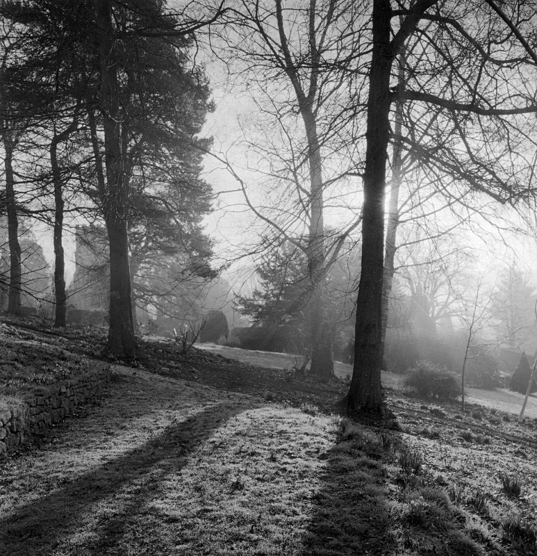  - Gardens at The Old Rectory, Netherbury