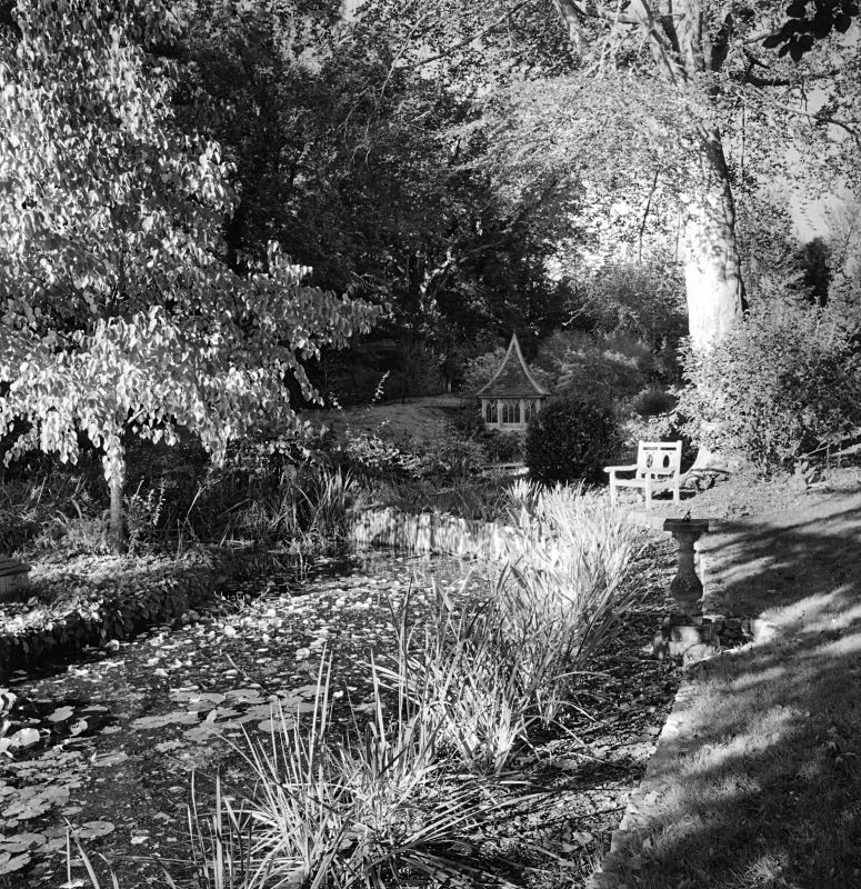  - Gardens at The Old Rectory, Netherbury