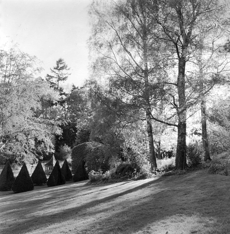  - Gardens at The Old Rectory, Netherbury