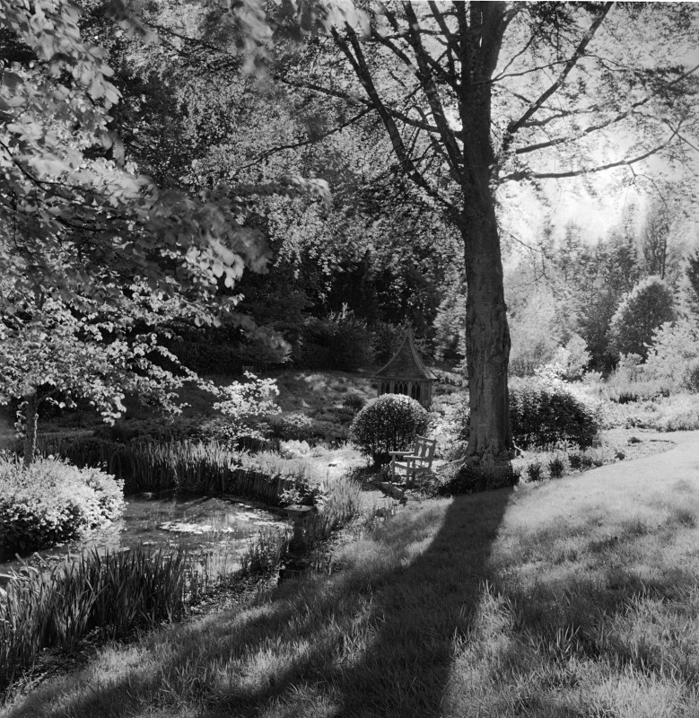  - Gardens at The Old Rectory, Netherbury