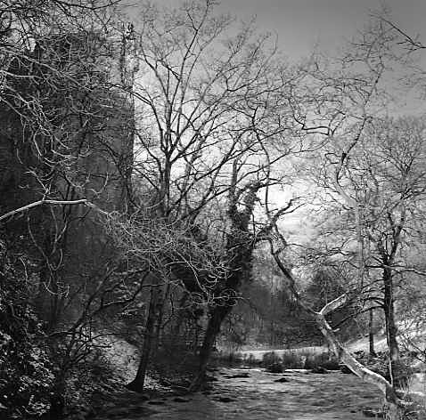 Ilam Rock, Dovedale, Derbyshire - Trees in Winter