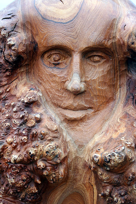 Wald 2 detail - Wald