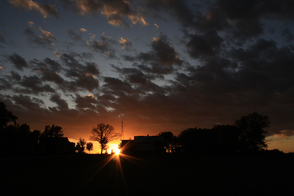 Minneota Farm - SW Minnesota