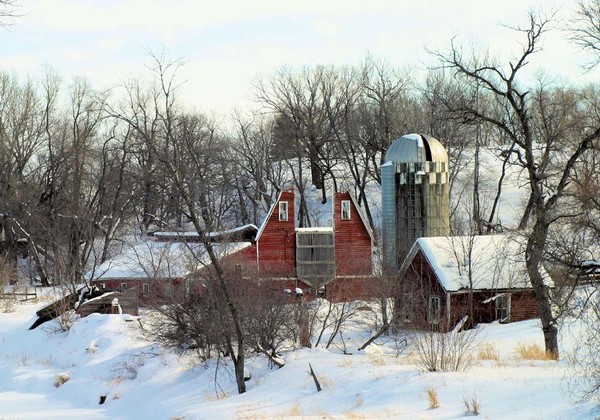 Sheyenne River Barn - Barns & Remnants