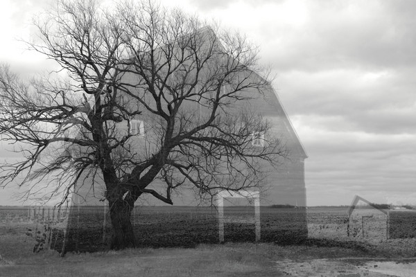 Ghost Barn II - Barns & Remnants