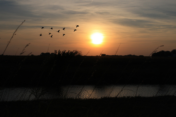Fall Sunset - SW Minnesota