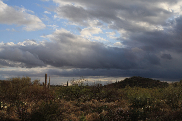 Desert Storm - Tuscon, Arizona