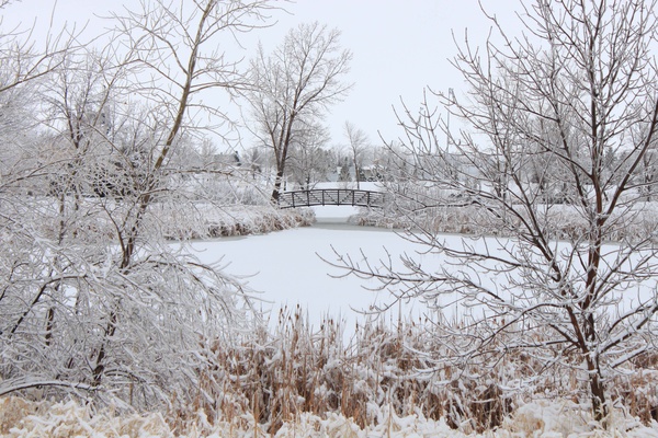 Ice & Snow - Marshall, Minnesota