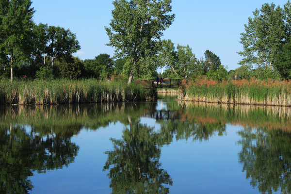 Summer reflections 2012 - Seasonal Collection 2012