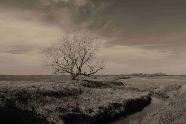 Prairie View - Nature