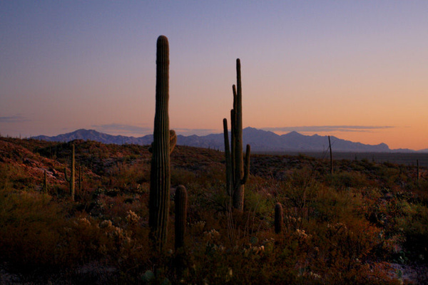 Autumn Dusk - Tuscon, Arizona