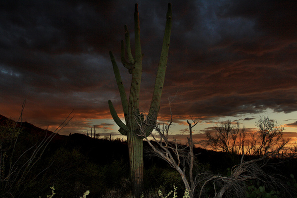 Painted sky - Tuscon, Arizona