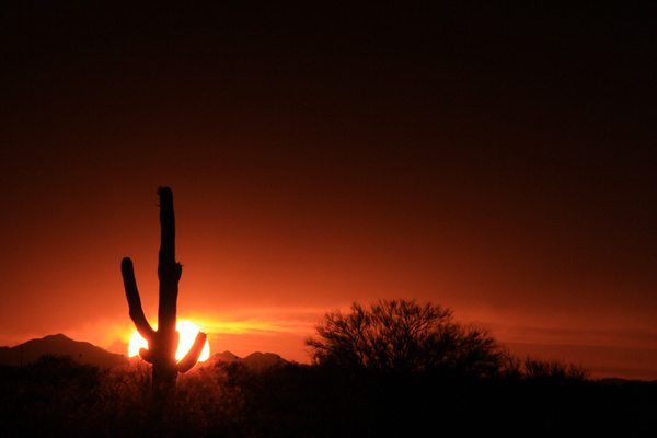 Fire in the Sky II - Tuscon, Arizona