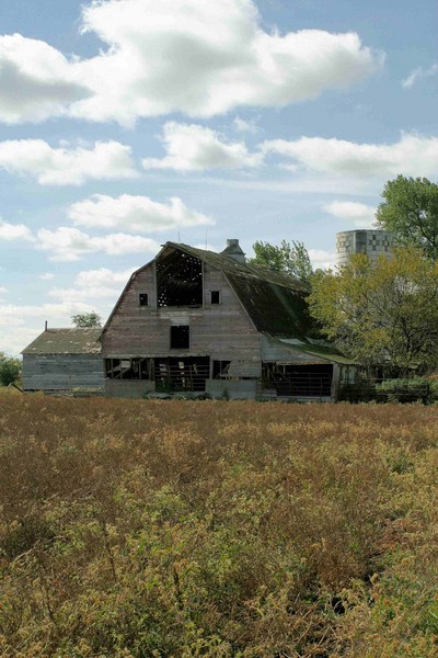 Yellow Medicine County Barn - Barns & Remnants