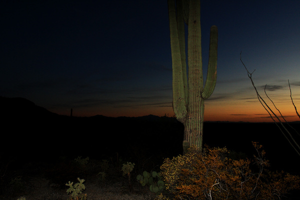 Fall Suset - Tuscon, Arizona