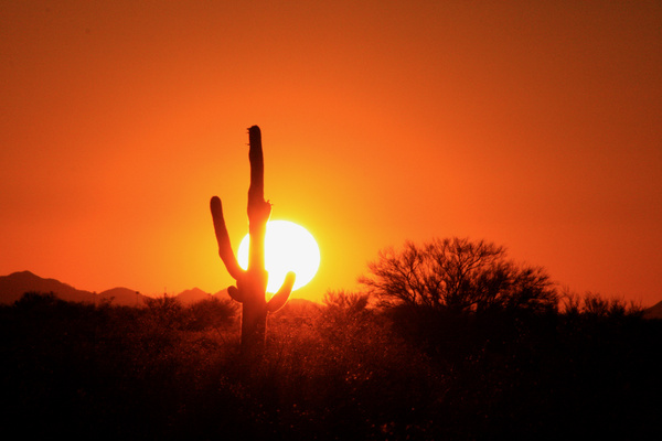 Father's Day Sunset, 2009 - Tuscon, Arizona