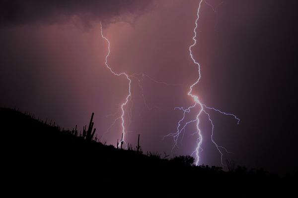 Cactus Lightning - Tuscon, Arizona