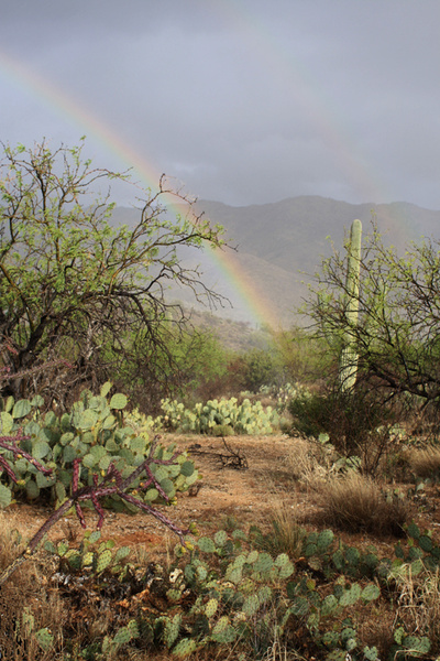Double rainbow - Tuscon, Arizona