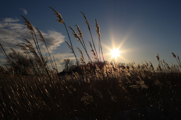 Winter Glow - SW Minnesota