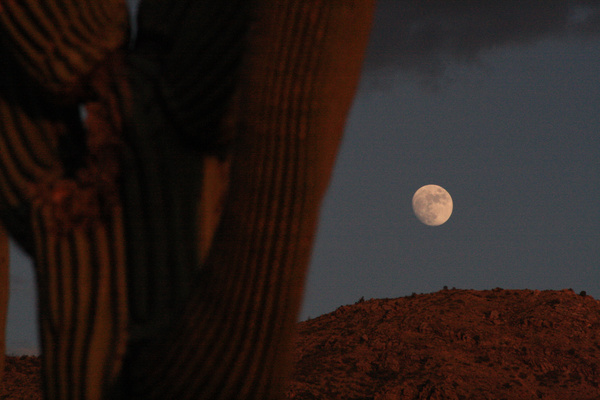 Moonrise over Rincons - Tuscon, Arizona