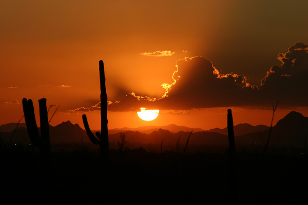 Autumn Sunset - Tuscon, Arizona