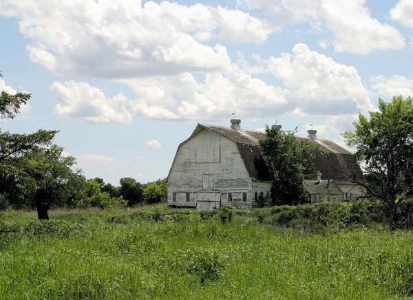 Mayville Barn - Barns & Remnants