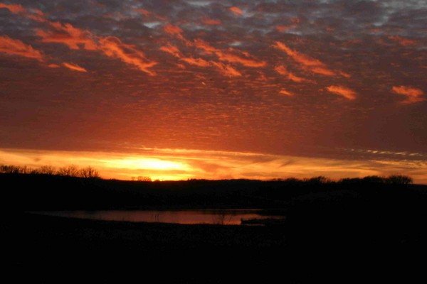 Painted Sky - Nature