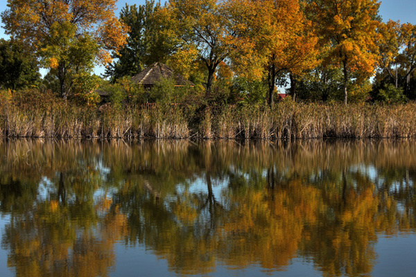 Fall colors - Marshall, Minnesota
