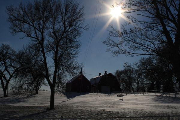Winter Scene - SW Minnesota