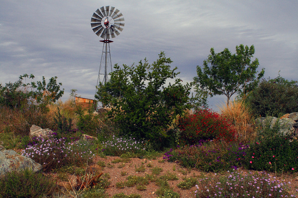 Windmill Ridge - Tuscon, Arizona