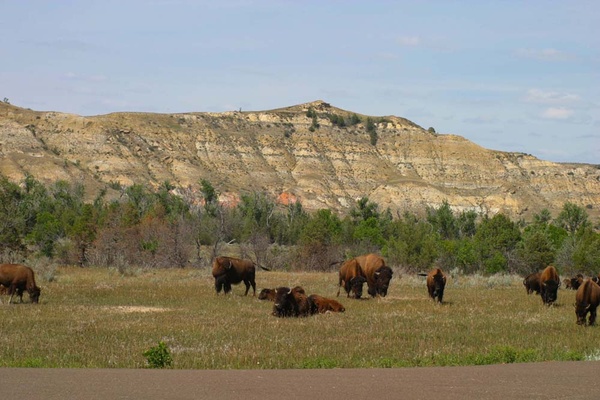 Badlands 8 - North Dakota Badlands