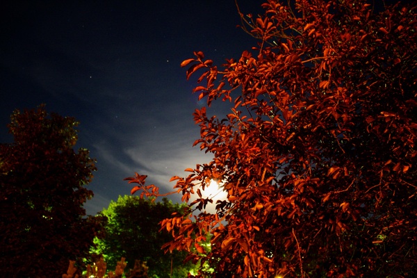 Moonlit Night - SW Minnesota