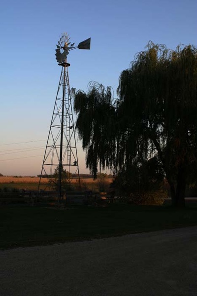 Windmill & Willow - Nature
