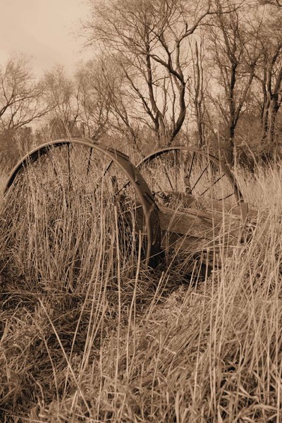 Prairie Relic - Barns & Remnants