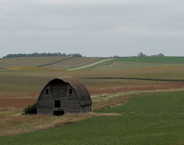 Barn Alone - Barns & Remnants