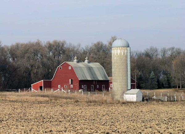 Country Barn - Barns & Remnants