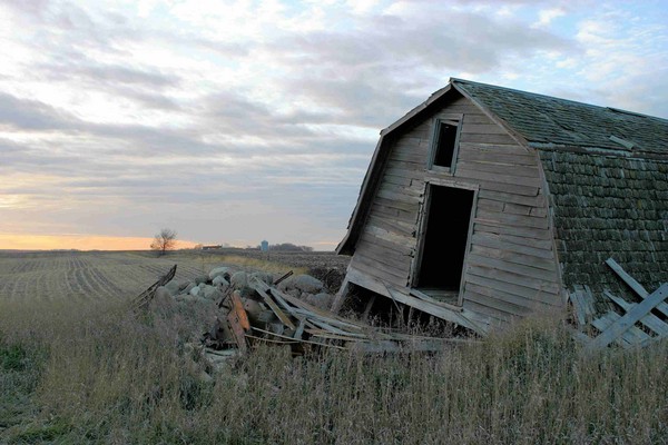 Fallen Barn - Barns & Remnants