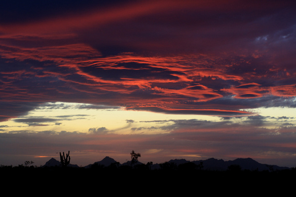 Looking West - Tuscon, Arizona