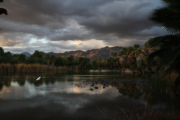 Agua Caliente Park - Tuscon, Arizona