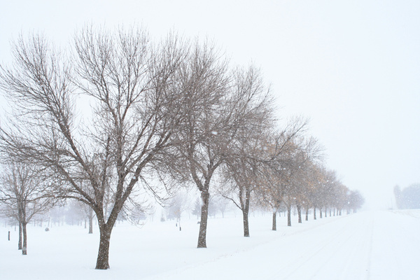 Golf Course Rd, Minneota - SW Minnesota